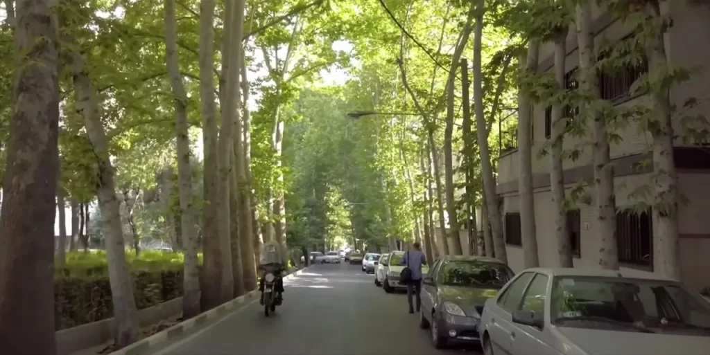 تخلیه چاه در محمودیه تهران